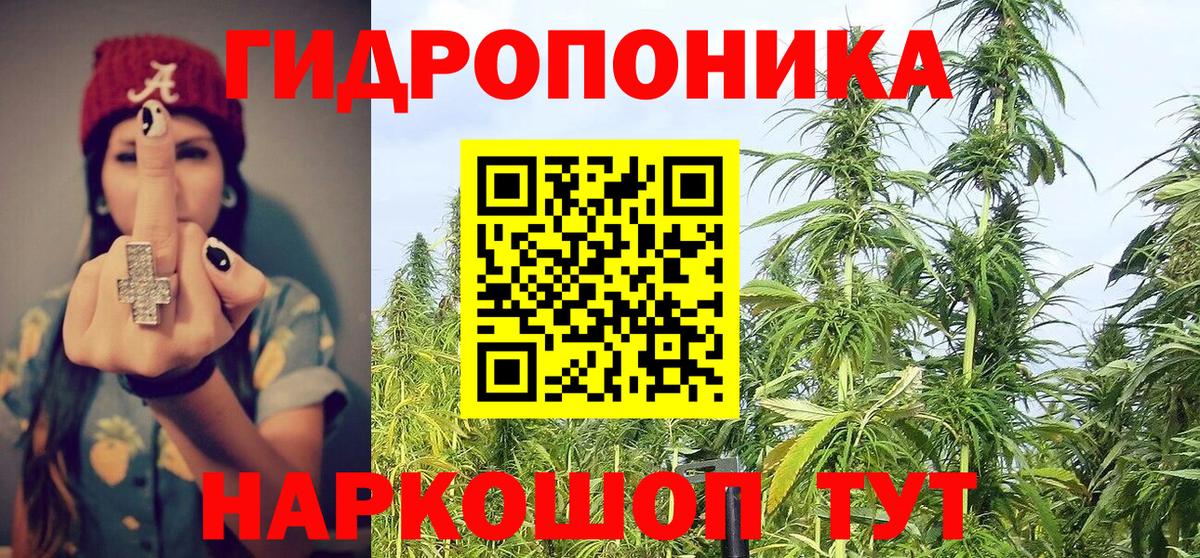 Конопля марихуана  Бошки марихуана конопля  Вход с VPN  Пушкино  Бошки марихуана тримм 